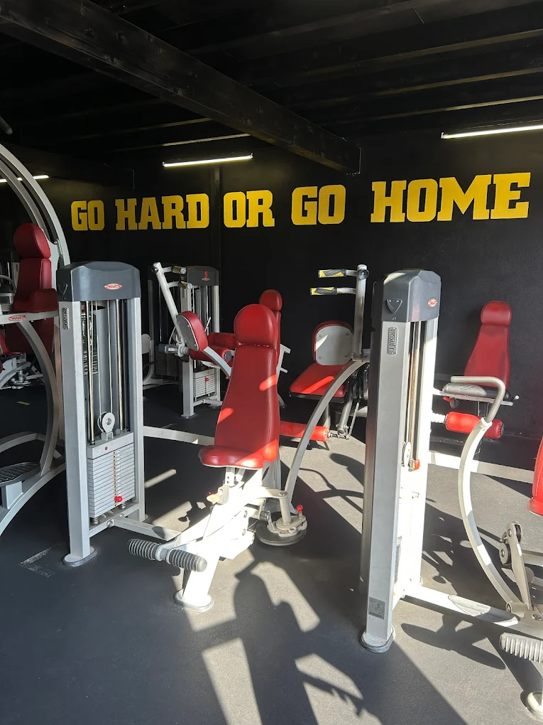 Equipamento de treino Fitness XXI